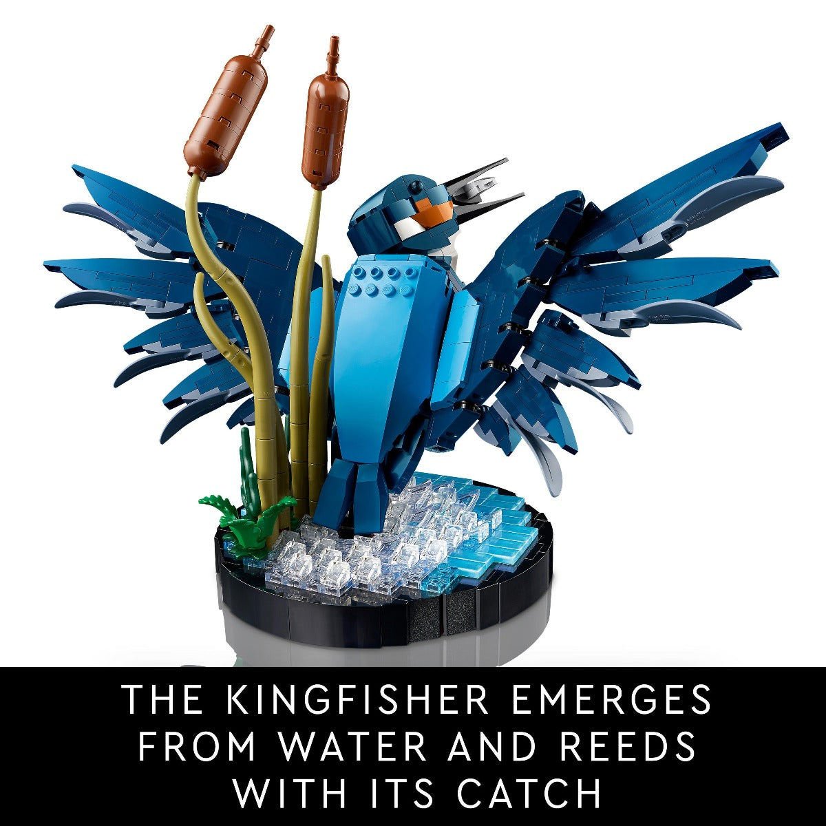 LEGO 10331 Icons Kingfisher Bird Model Building Kit for Adults