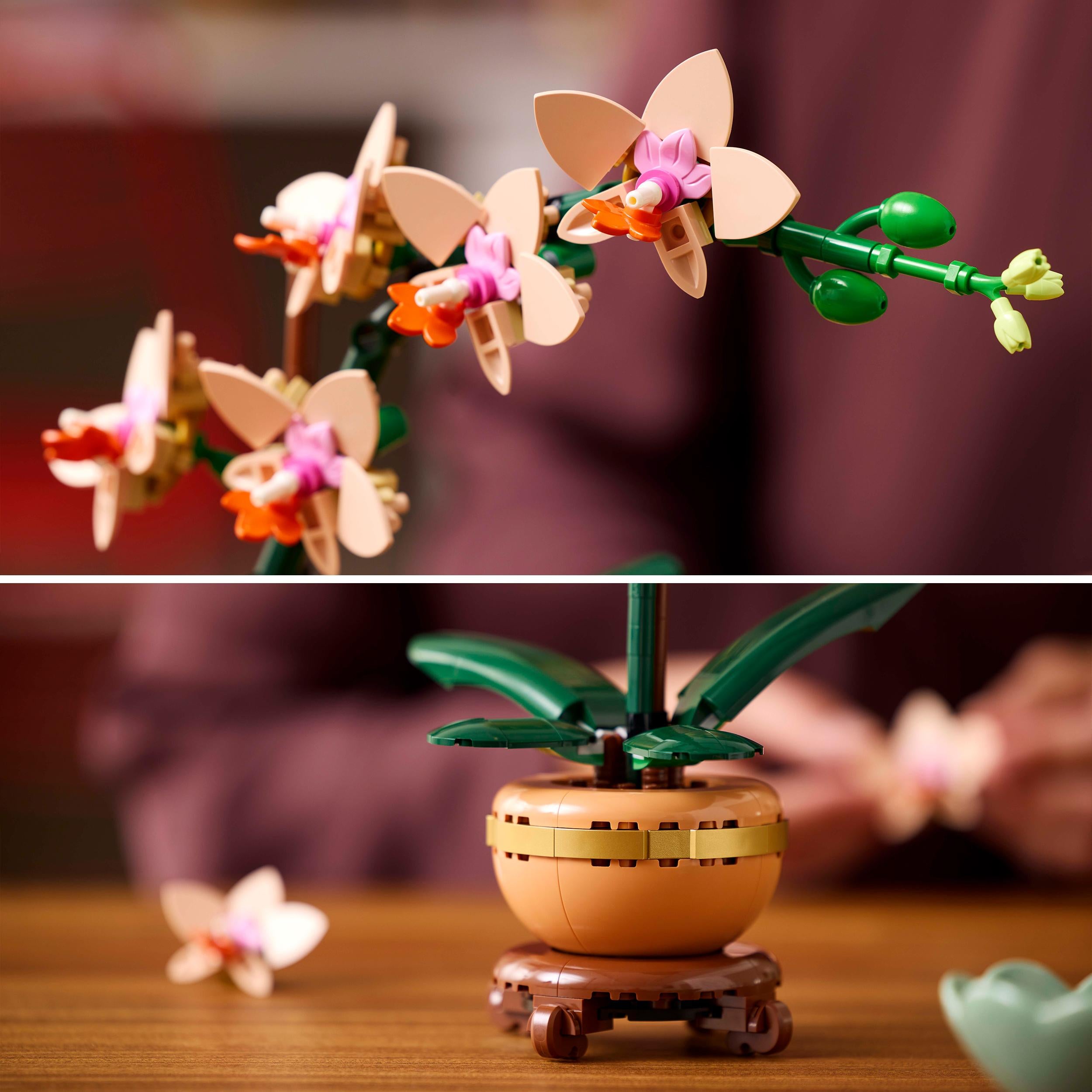 LEGO 10343 Botanicals Mini Orchid