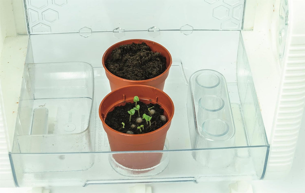 Smart Tech Greenhouse