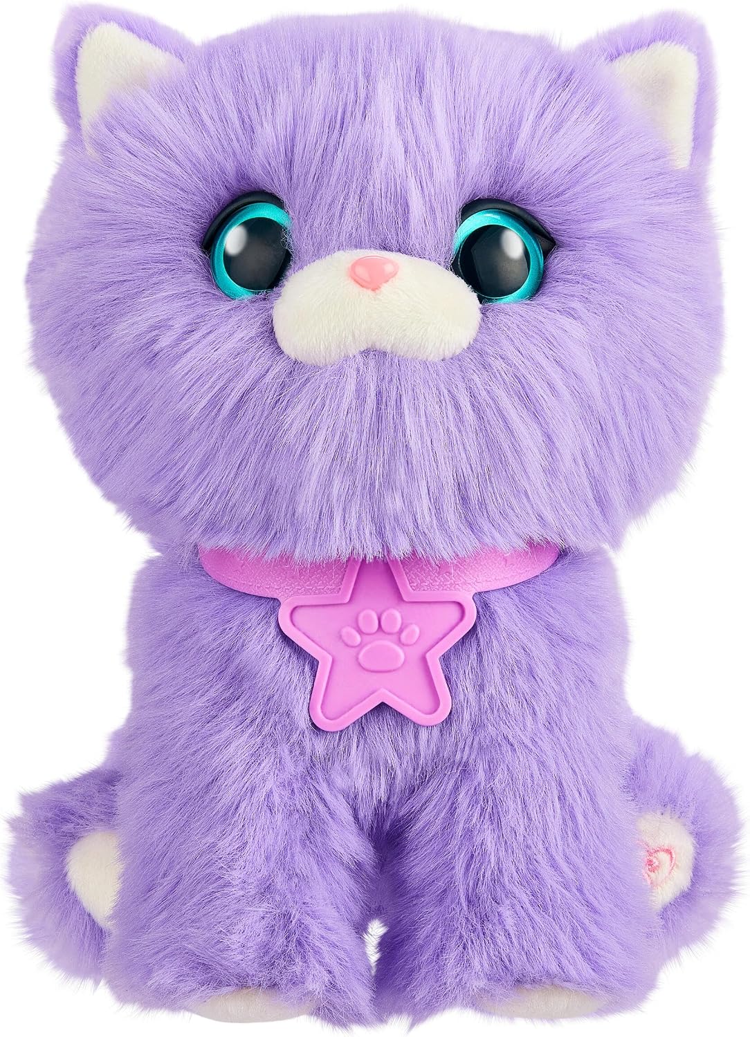 Scruff a Luvs Pet Scruffs - Mystery Plush