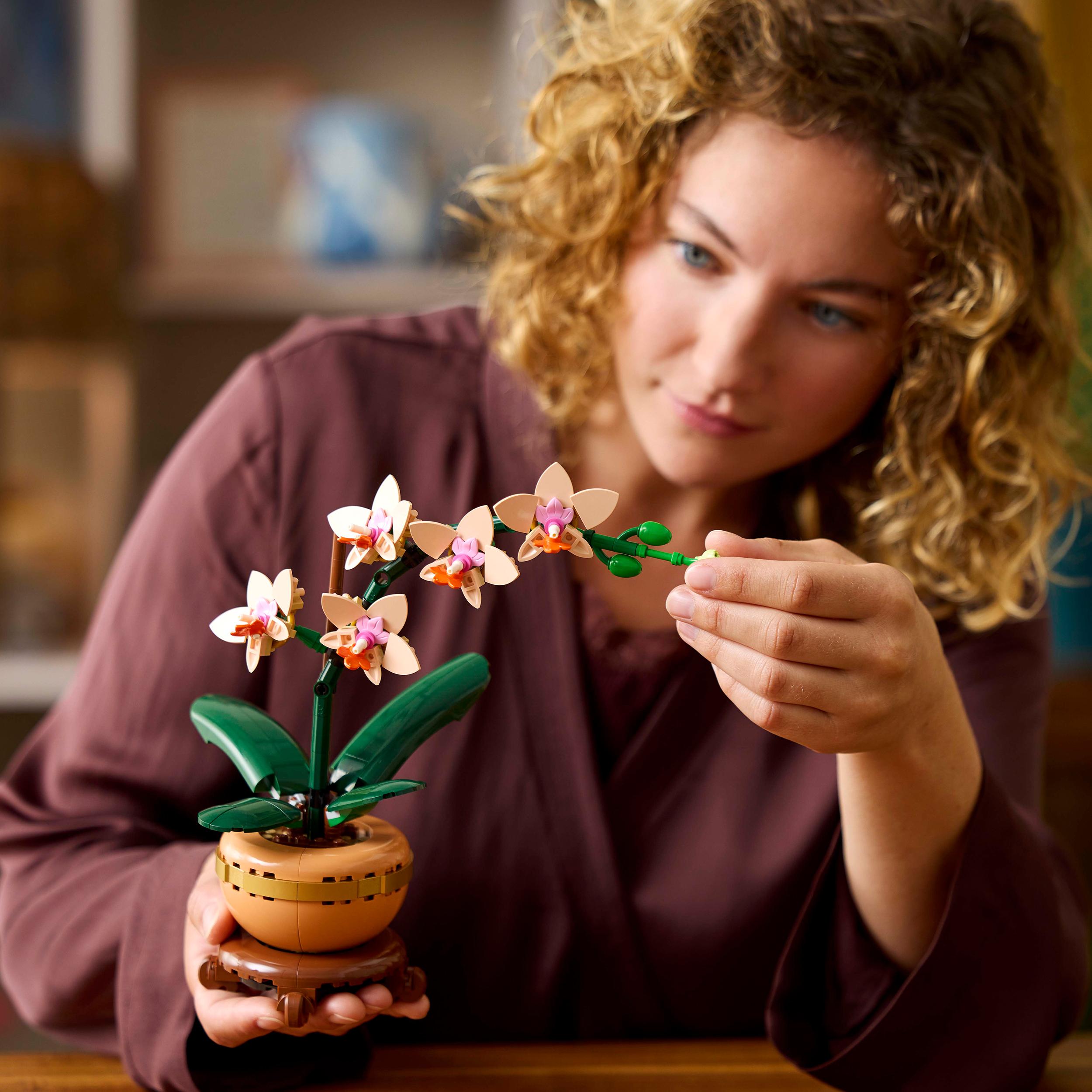 エミリー LEGO 10343 Botanicals Mini Orchid | Starlings Toys