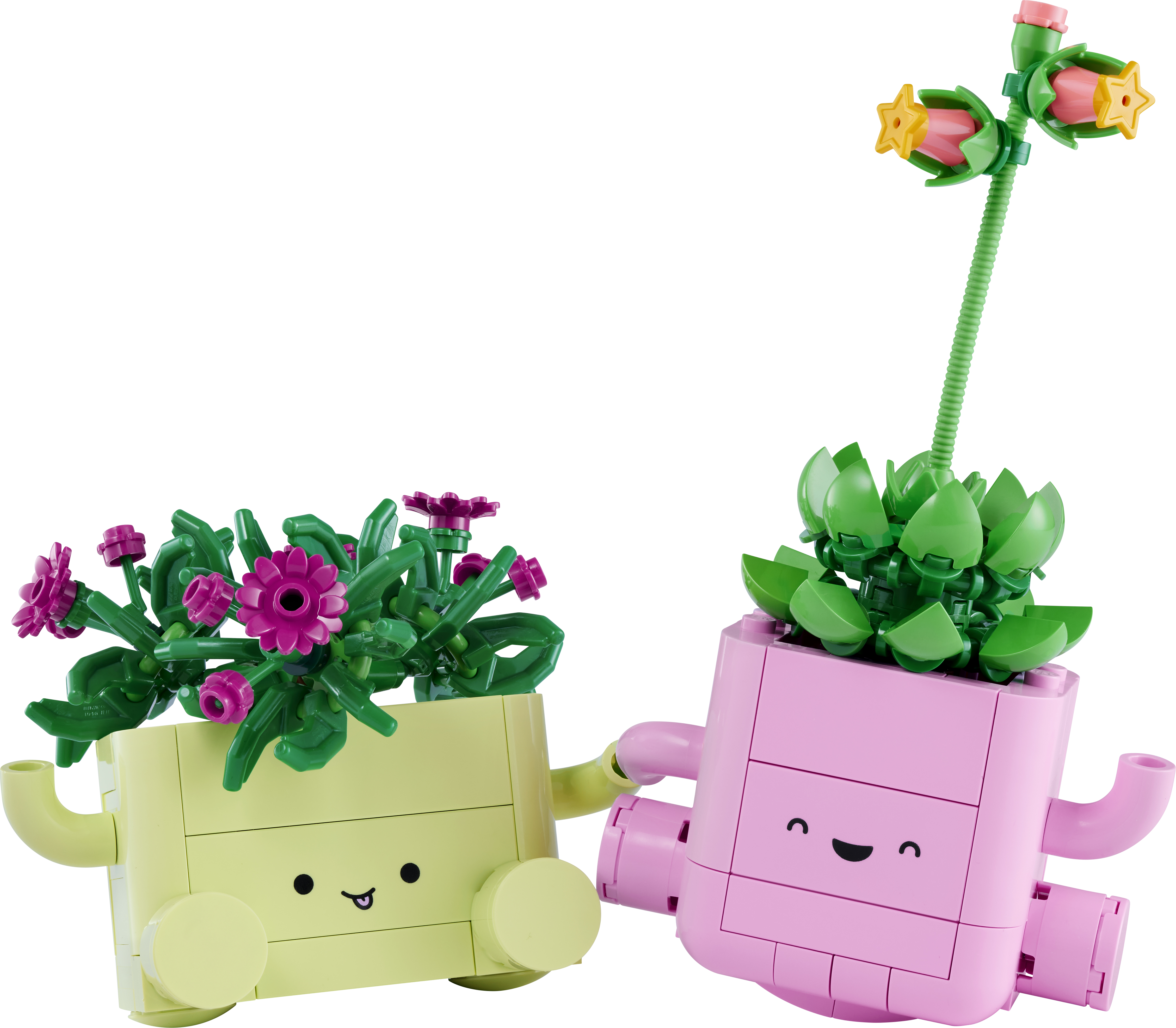 LEGO 11506 Botanicals Rocking Plants
