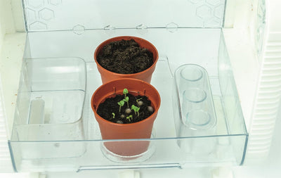 Smart Tech Greenhouse