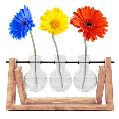 Propagation Vases for Rooting Plant Cuttings