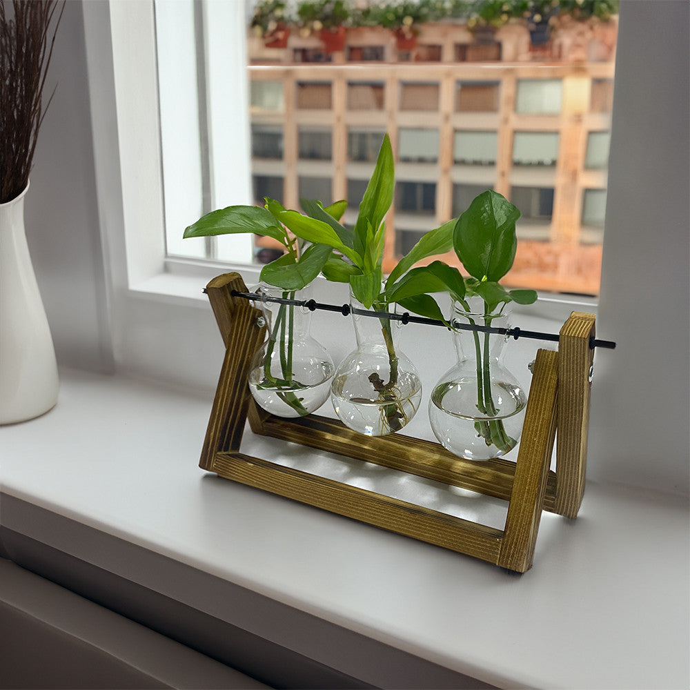Propagation Vases for Rooting Plant Cuttings