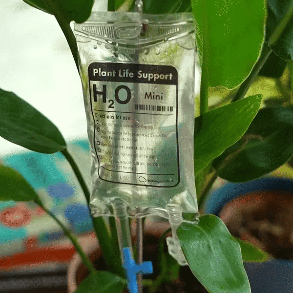 Mini Plant Life Support