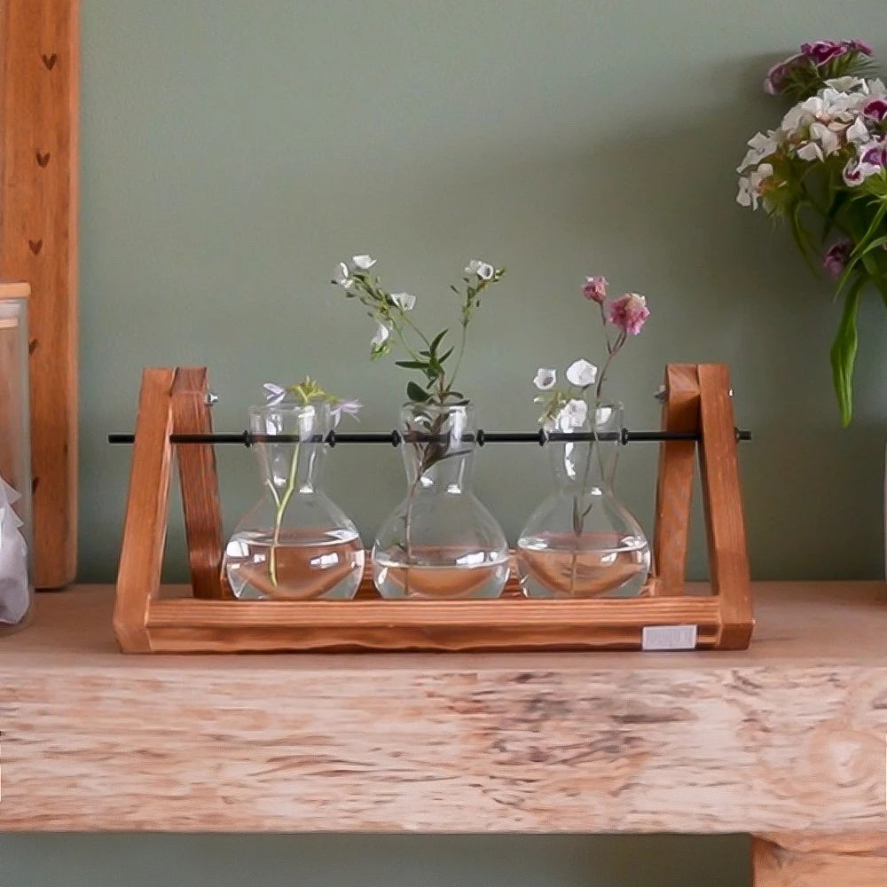 Propagation Vases for Rooting Plant Cuttings