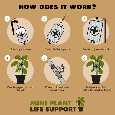 Mini Plant Life Support