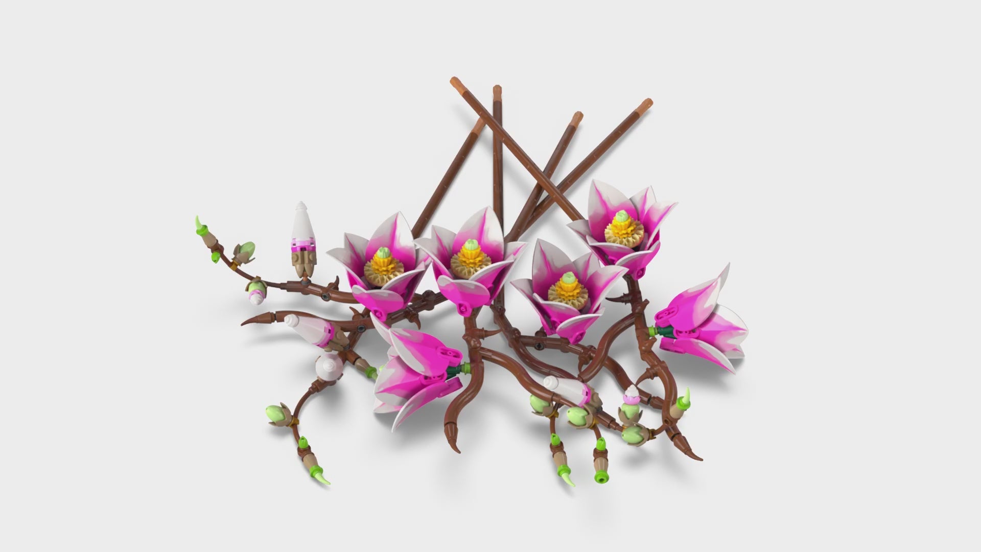 Load video: LEGO 11510 Magnolia Branches