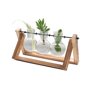 Propagation Vases for Rooting Plant Cuttings