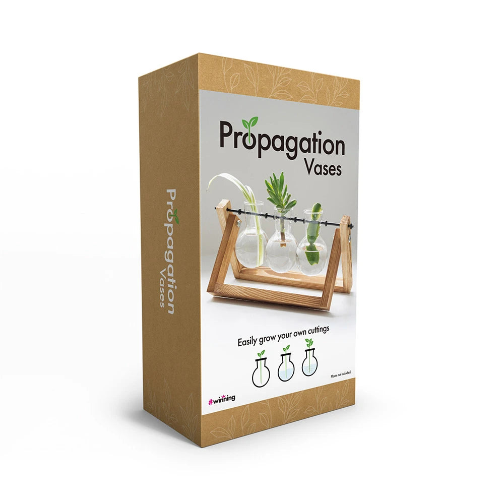 Propagation Vases for Rooting Plant Cuttings