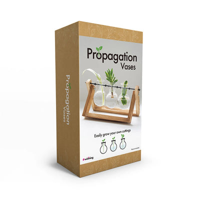 Propagation Vases for Rooting Plant Cuttings