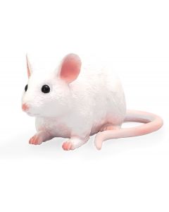Animal Planet 387235  Mouse 